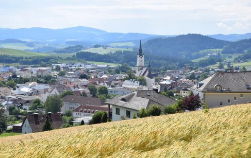 KEM Böhmerwald nutzt die DOMINO App für den Bezirk Rohrbach